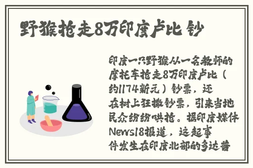 铿铿锵锵免费观看入口